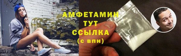 скорость Ельня