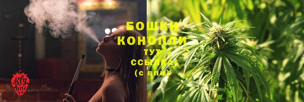 скорость Ельня