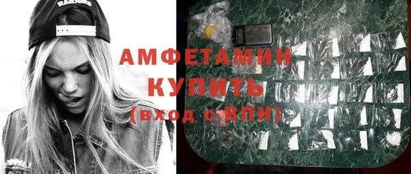 скорость Ельня