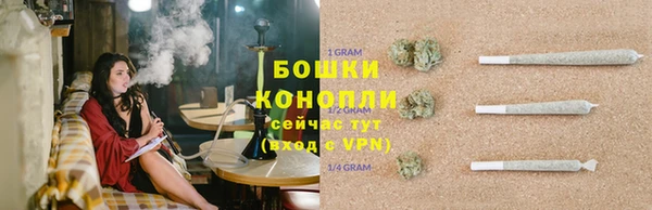 скорость Ельня